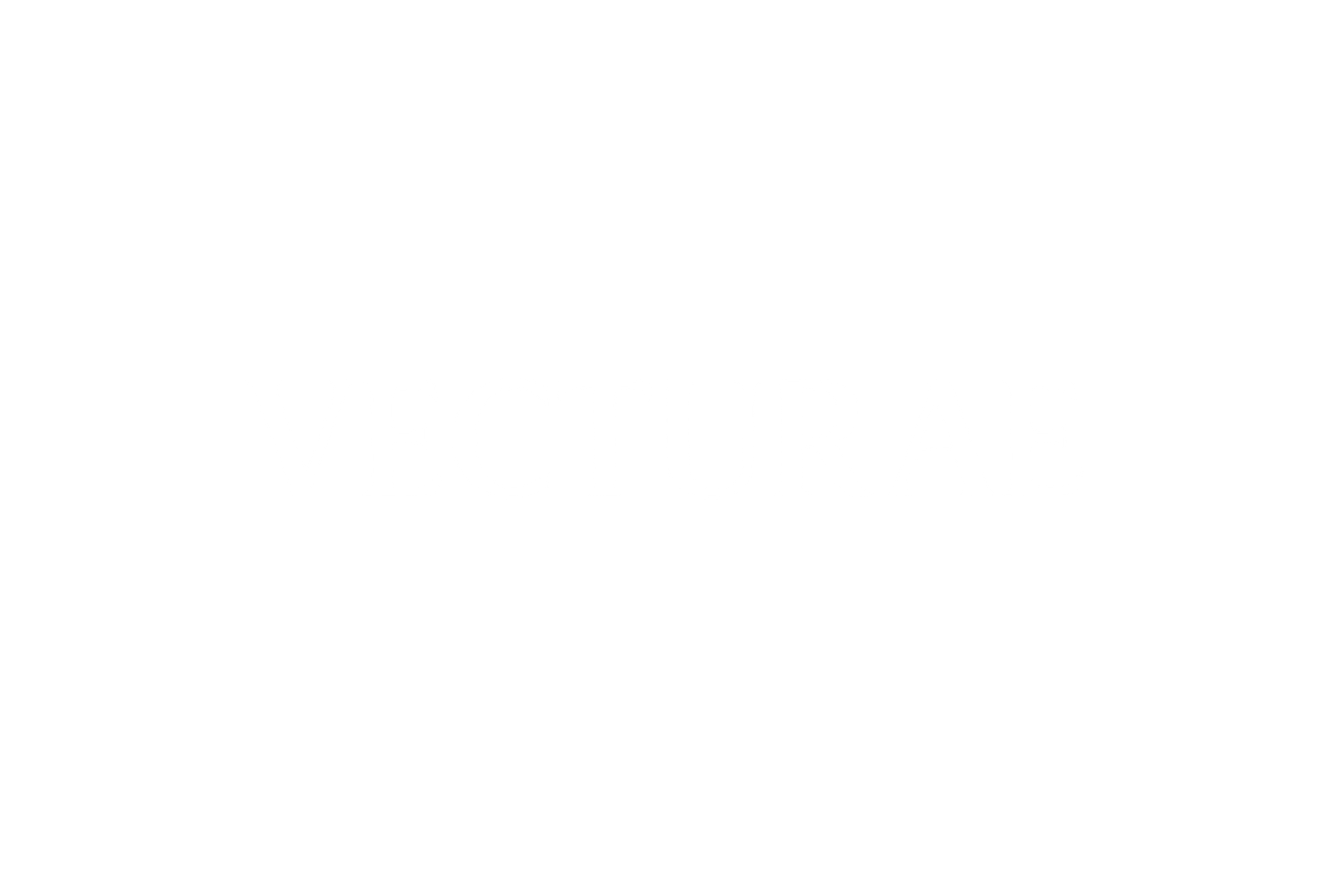 Logo completo Vecturae