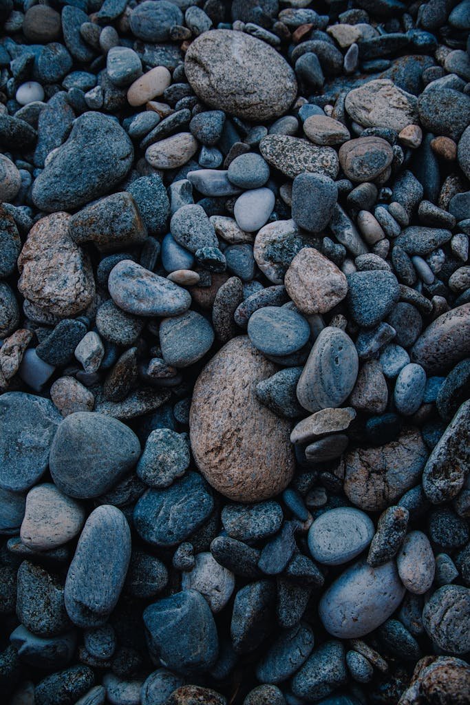 Close-up of smooth, varied pebbles and stones creating a natural texture.